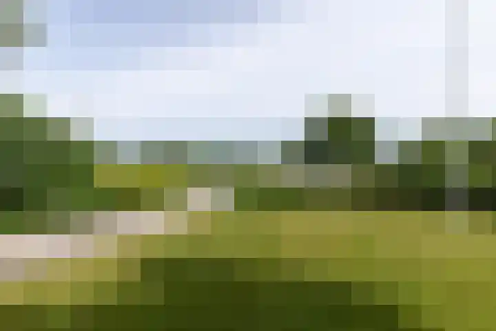 Westeinde 64 Oud-Alblas thumbnail 55