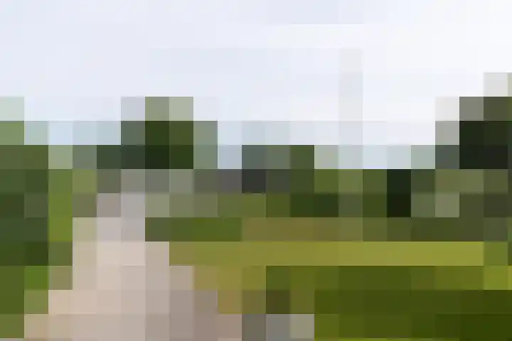 Westeinde 64 Oud-Alblas thumbnail 56