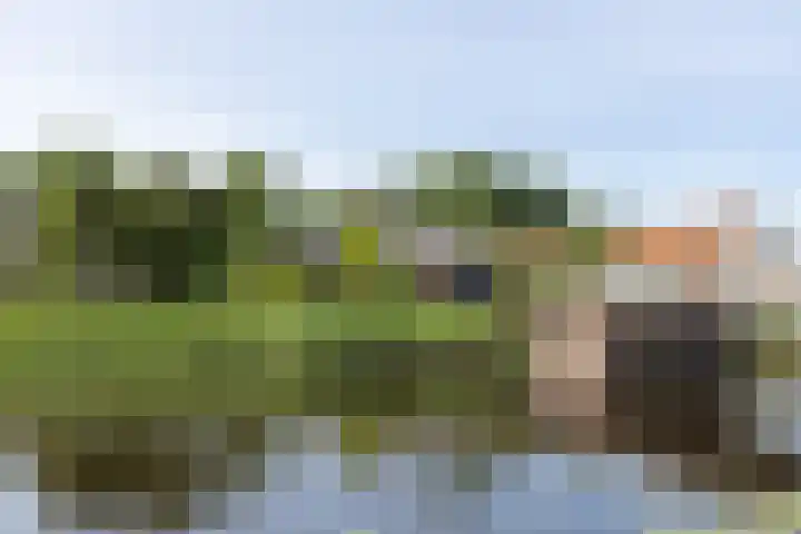 Westeinde 64 Oud-Alblas thumbnail 57
