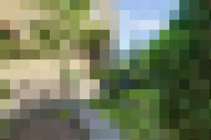 Westeinde 7 Bodegraven thumbnail 36