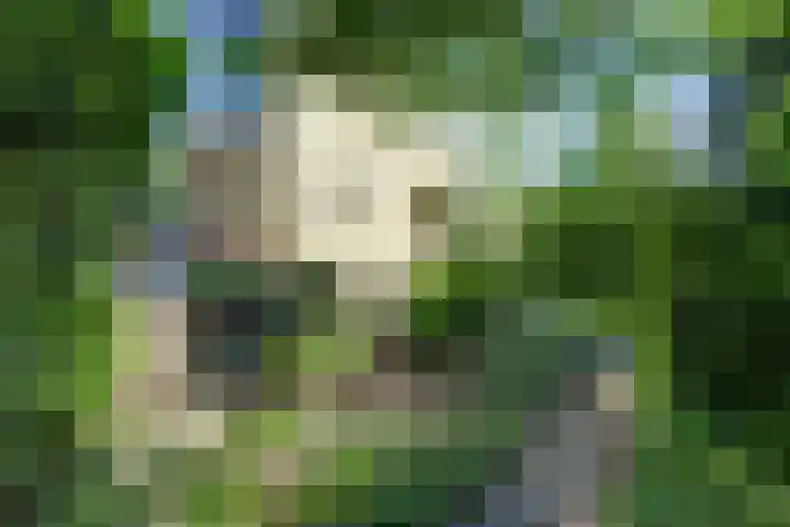 Westeinde 7 Bodegraven thumbnail 37