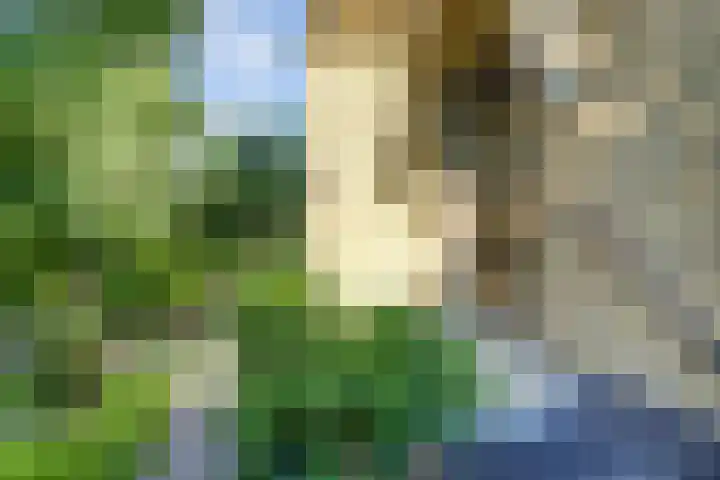 Westeinde 7 Bodegraven thumbnail 4