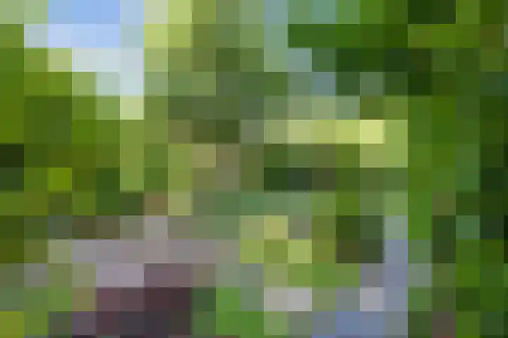 Westeinde 7 Bodegraven thumbnail 41