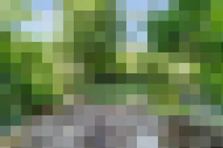 Westeinde 7 Bodegraven thumbnail 42