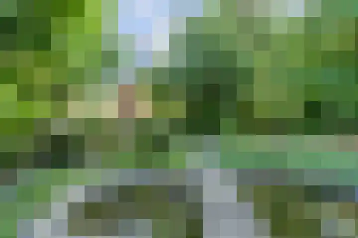 Westeinde 7 Bodegraven thumbnail 44