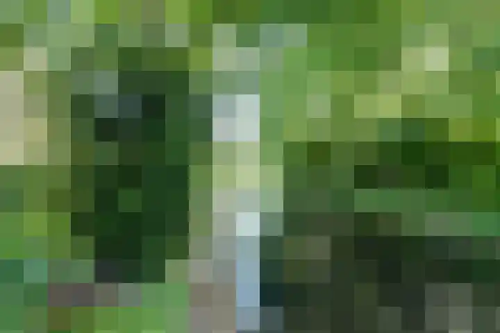 Westeinde 7 Bodegraven thumbnail 47