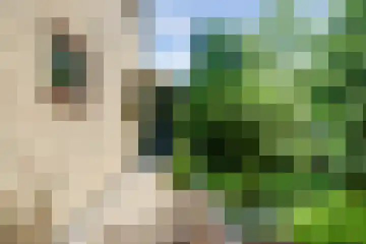 Westeinde 7 Bodegraven thumbnail 49