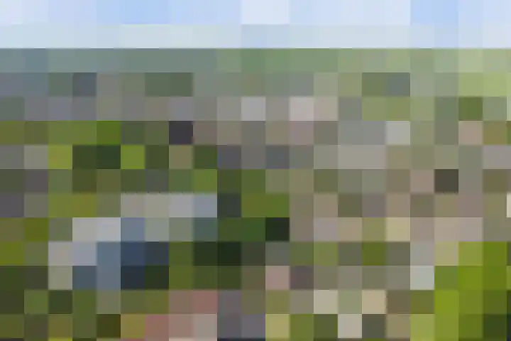 Westeinde 7 Bodegraven thumbnail 57