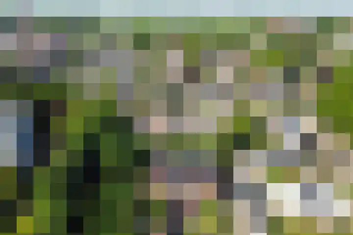 Westeinde 7 Bodegraven thumbnail 58