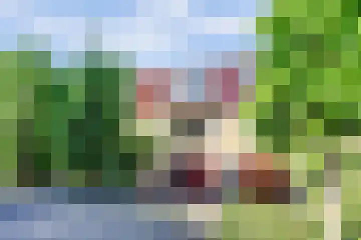 Westeinde 7 Bodegraven thumbnail 63