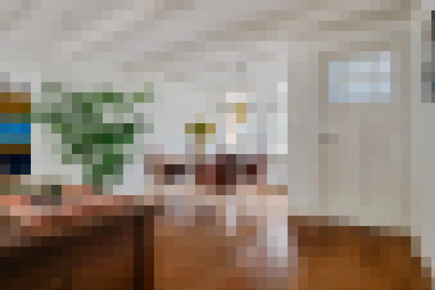 Westeinde 7 Zwartsluis thumbnail 12