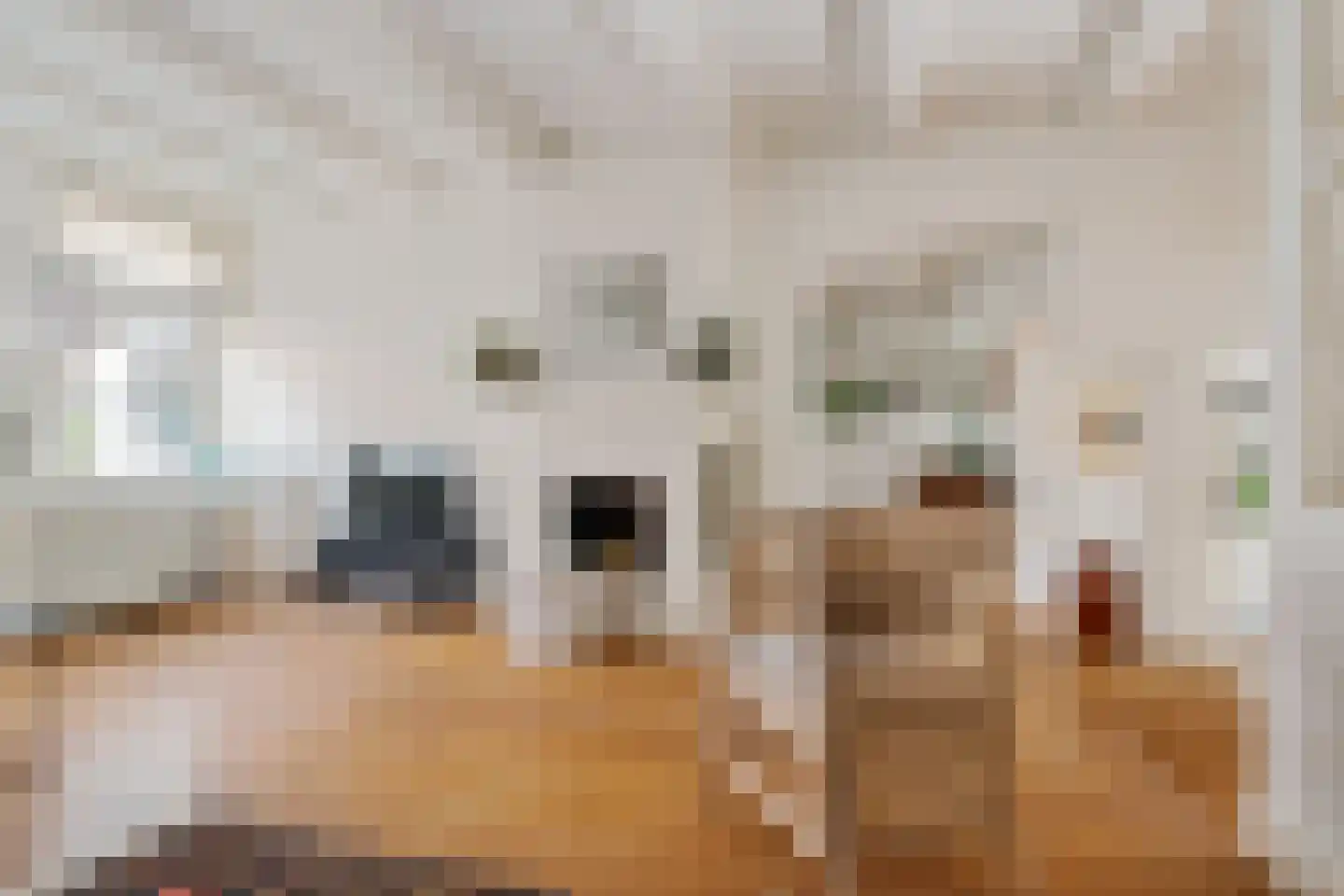Westeinde 7 Zwartsluis thumbnail 13