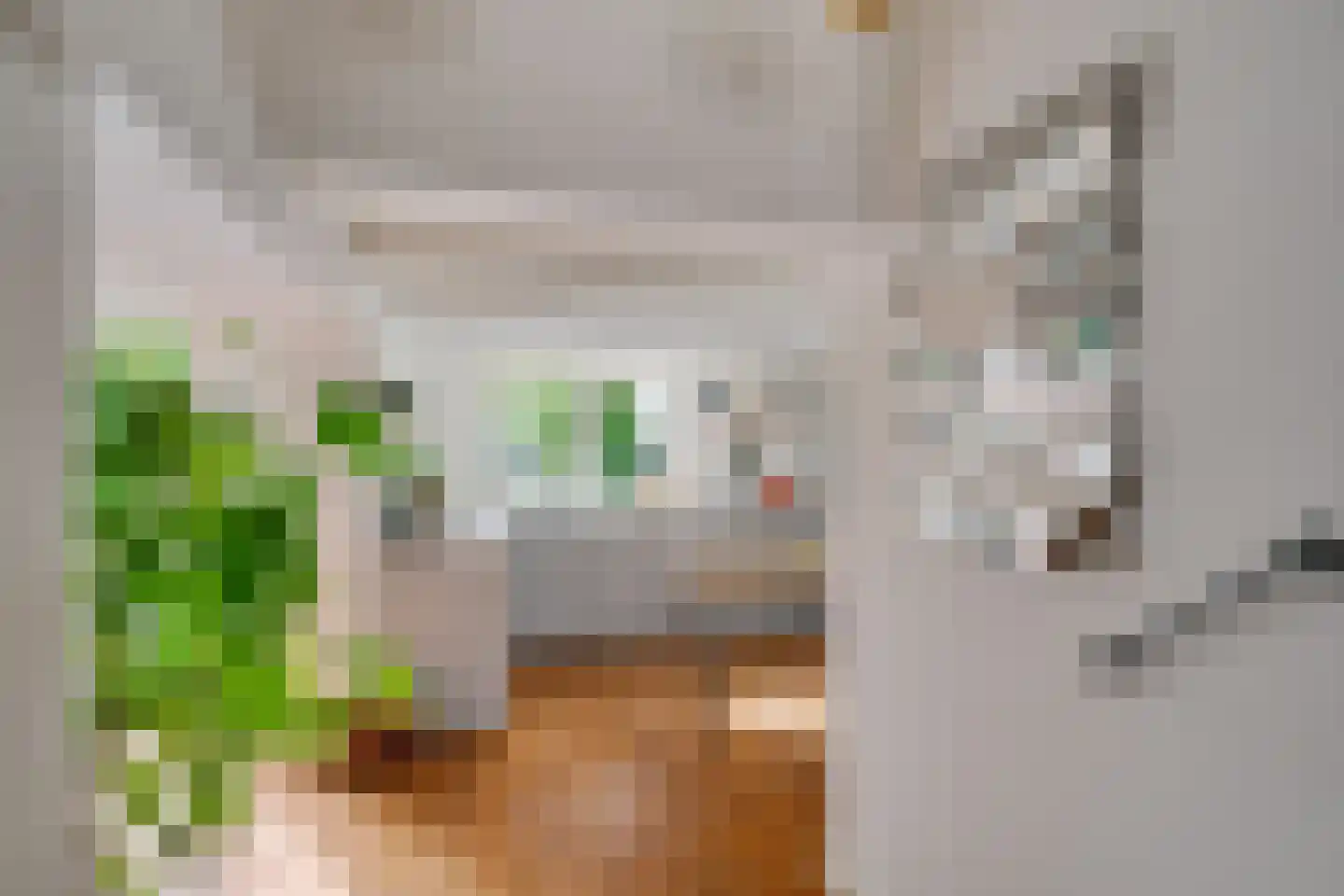 Westeinde 7 Zwartsluis thumbnail 16