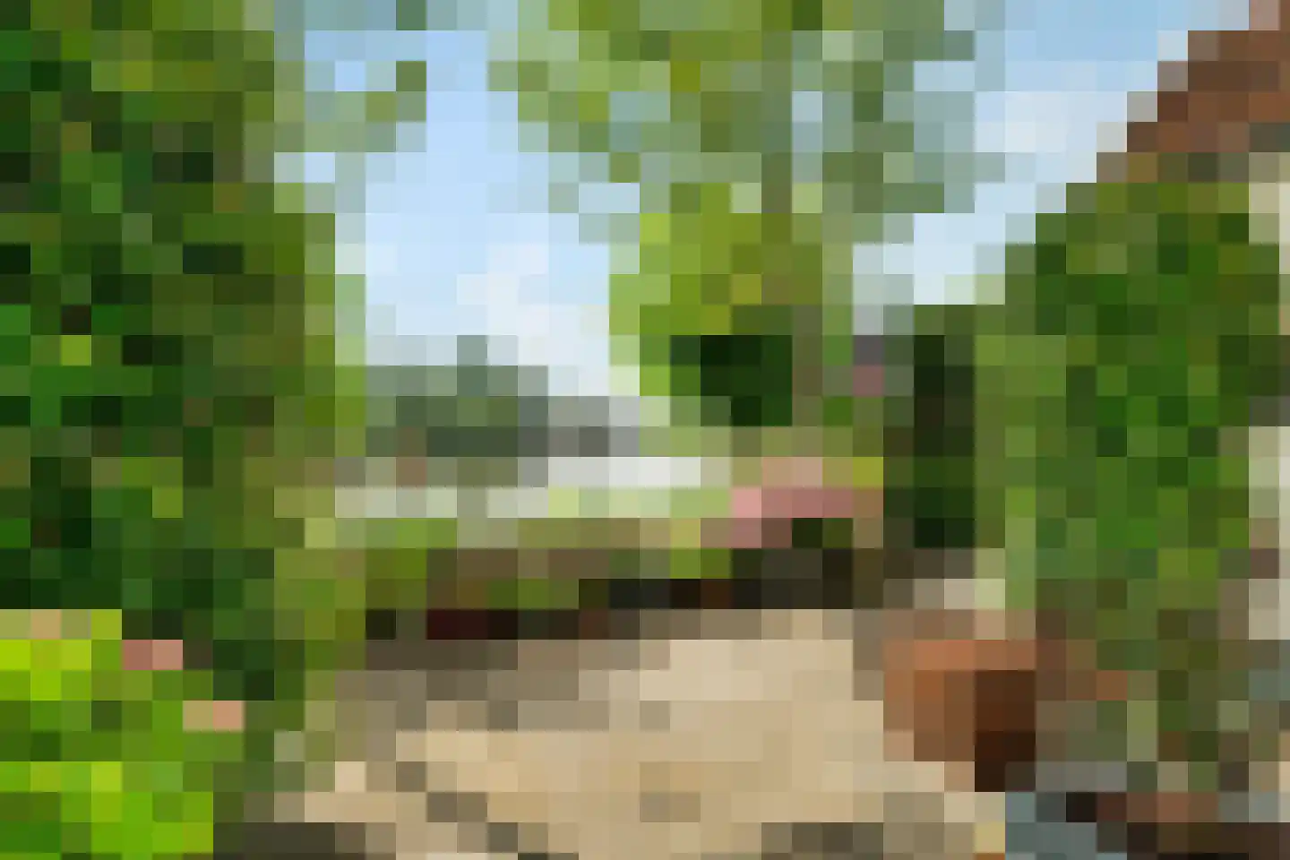 Westeinde 7 Zwartsluis thumbnail 34