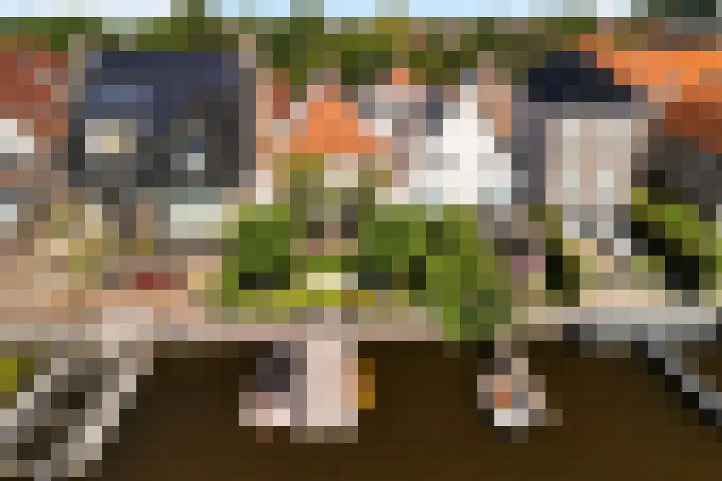 Westeinde 7 Zwartsluis thumbnail 4