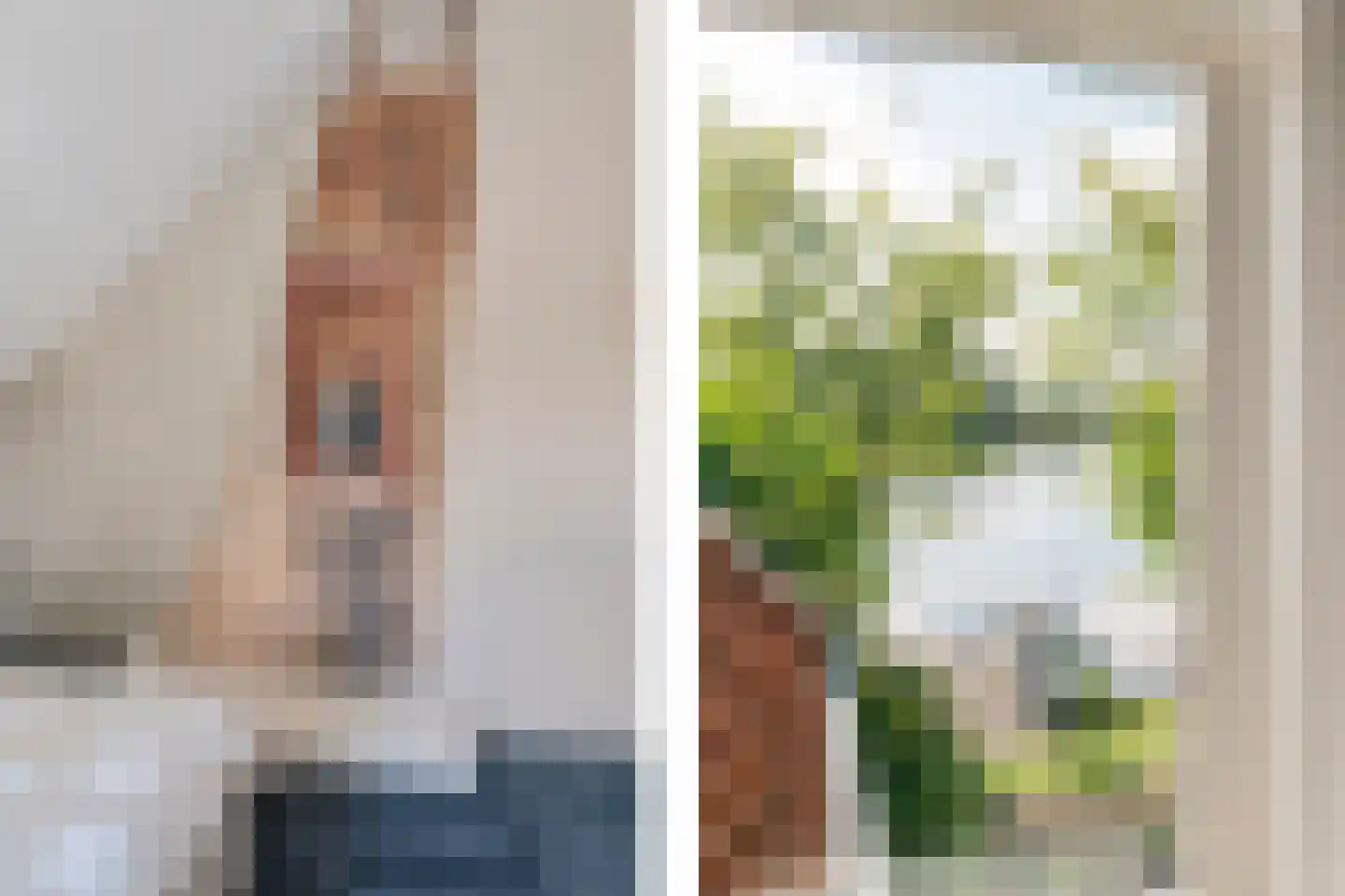 Westeinde 7 Zwartsluis thumbnail 40