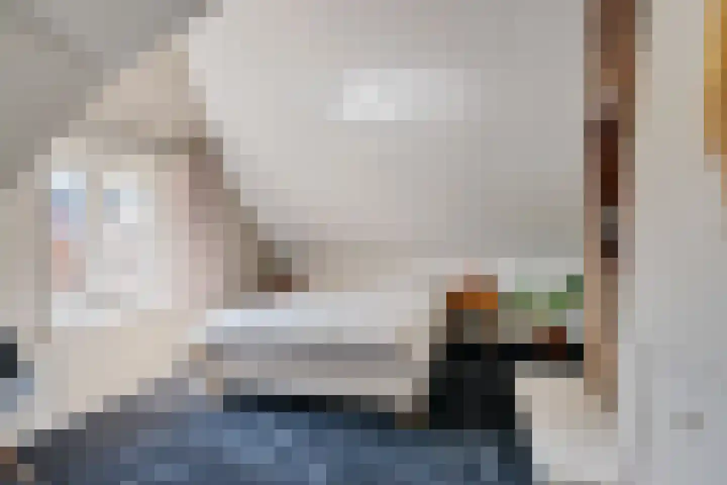 Westeinde 7 Zwartsluis thumbnail 43