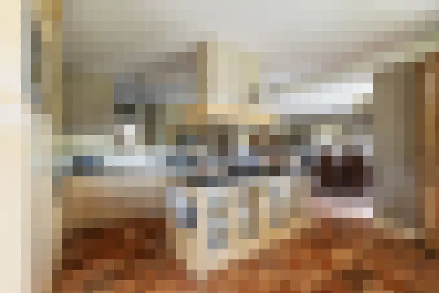 Westeinde 76 Berkenwoude thumbnail 15