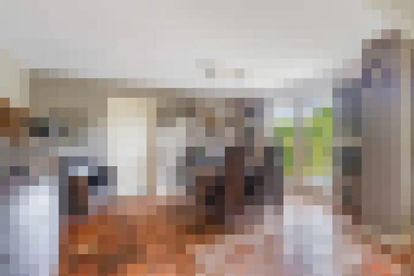 Westeinde 76 Berkenwoude thumbnail 16