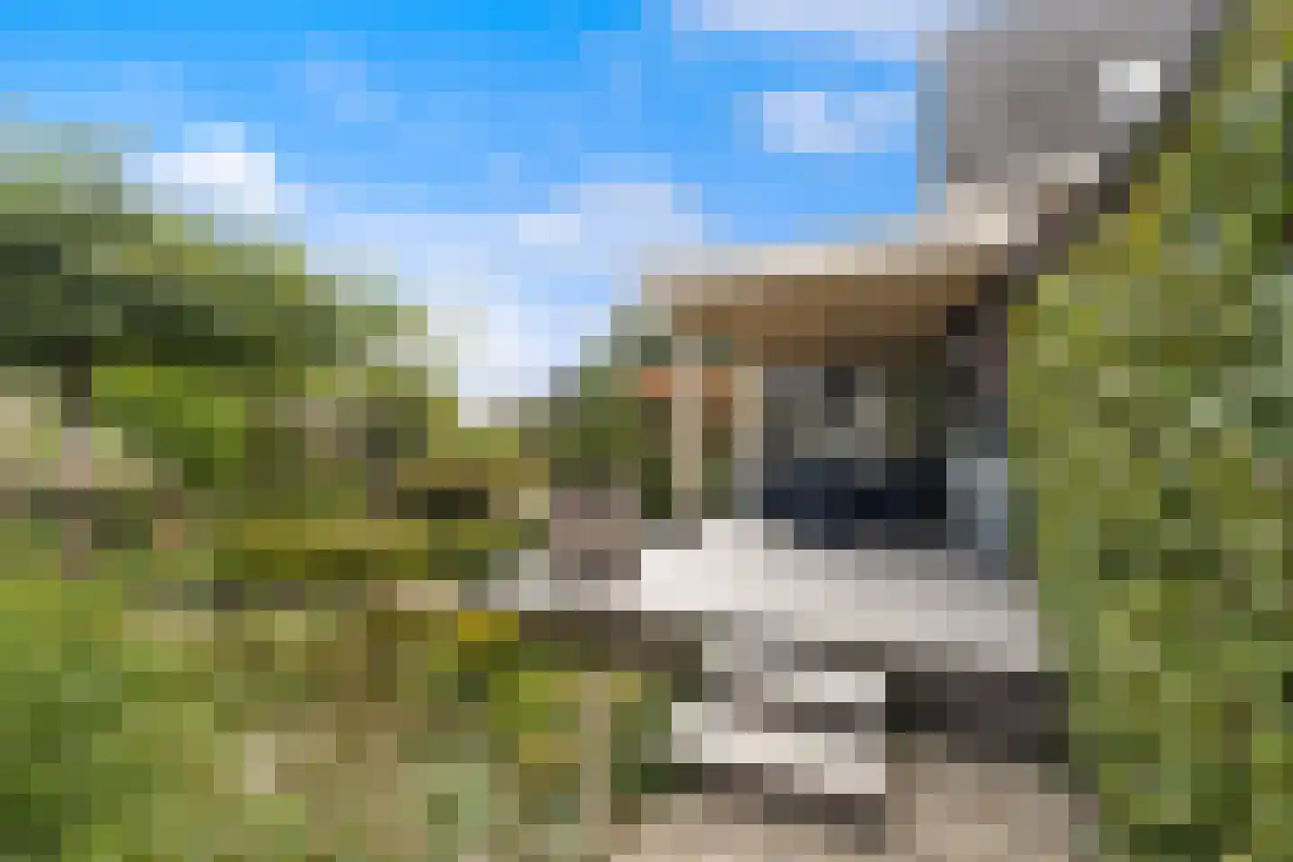 Westeinde 76 Berkenwoude thumbnail 17