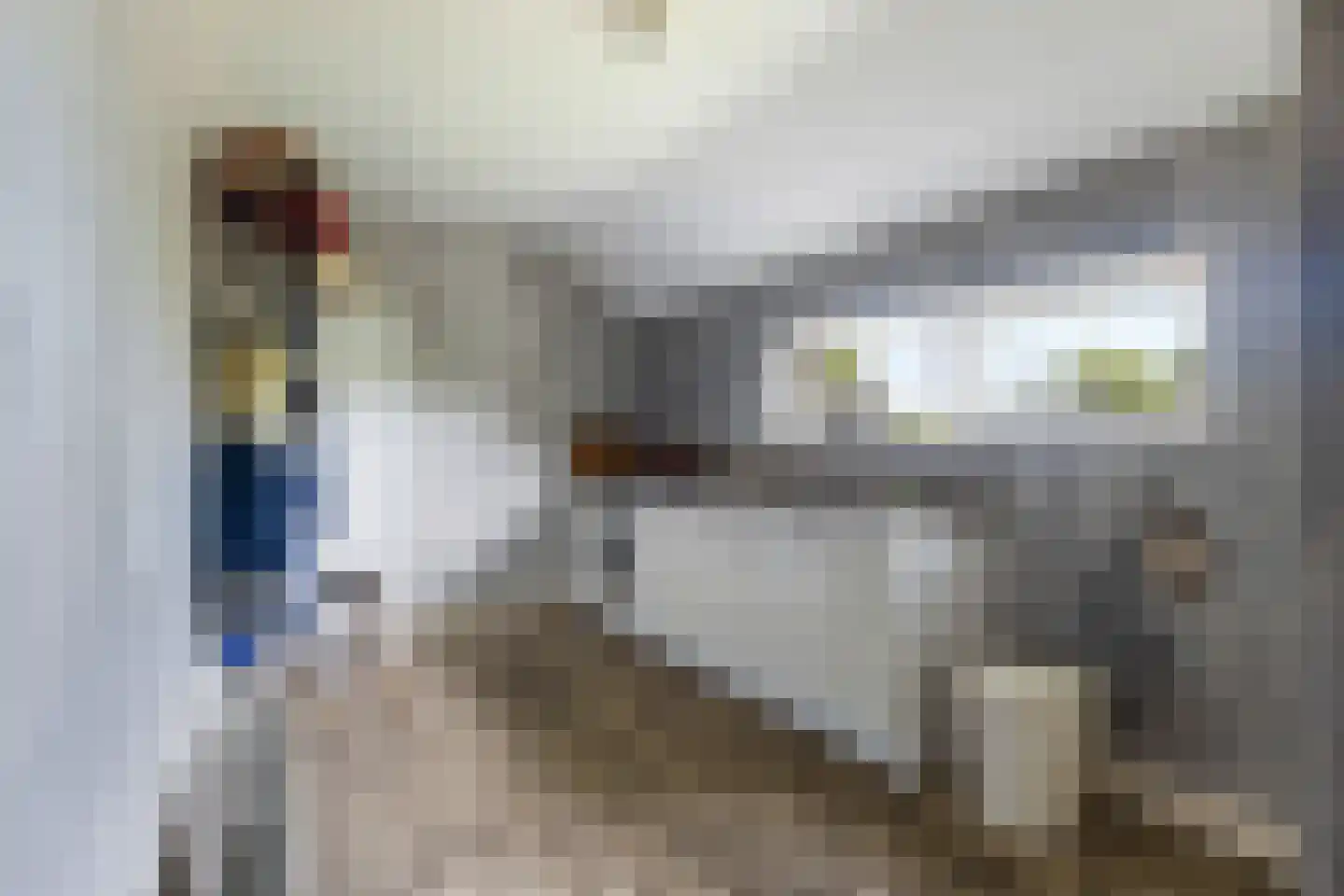 Westeinde 76 Berkenwoude thumbnail 19