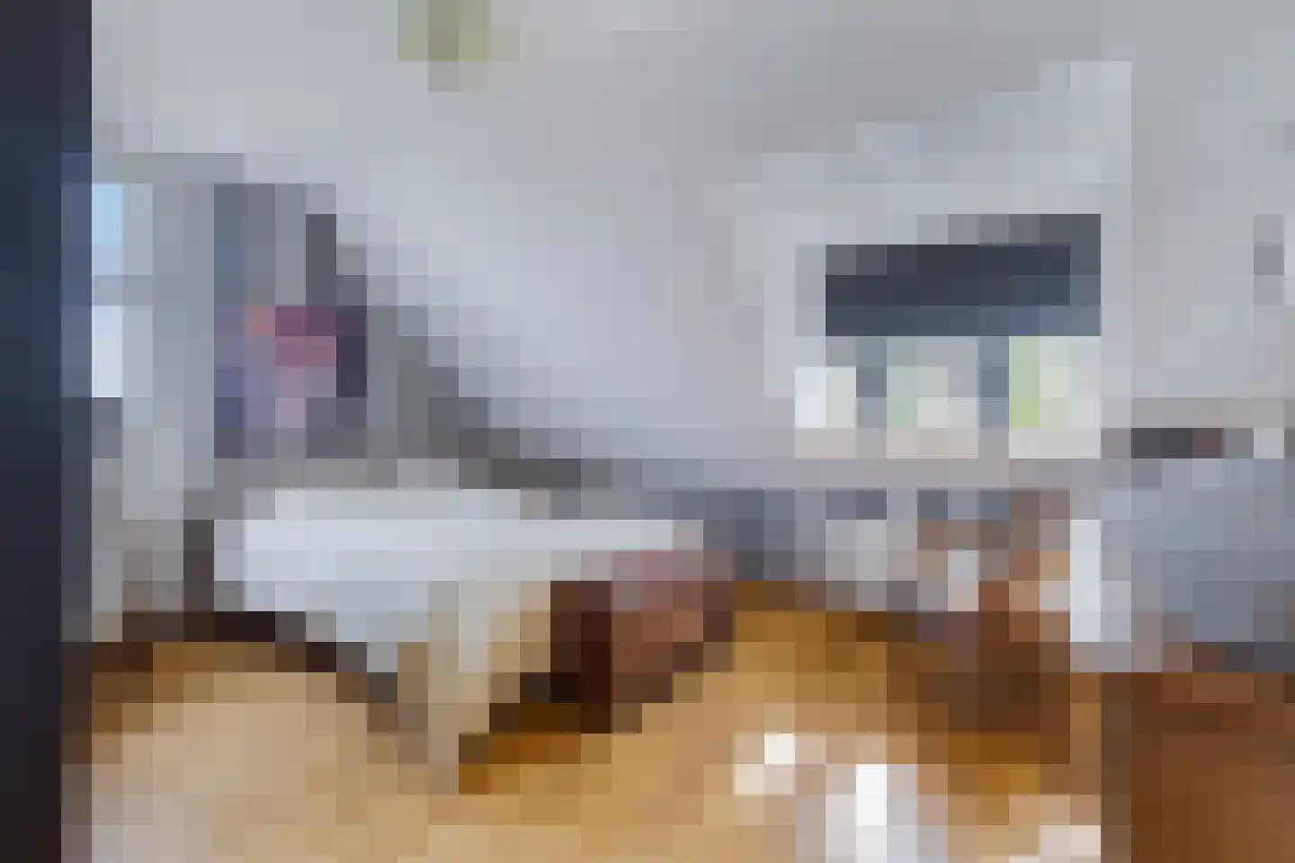 Westeinde 76 Berkenwoude thumbnail 24