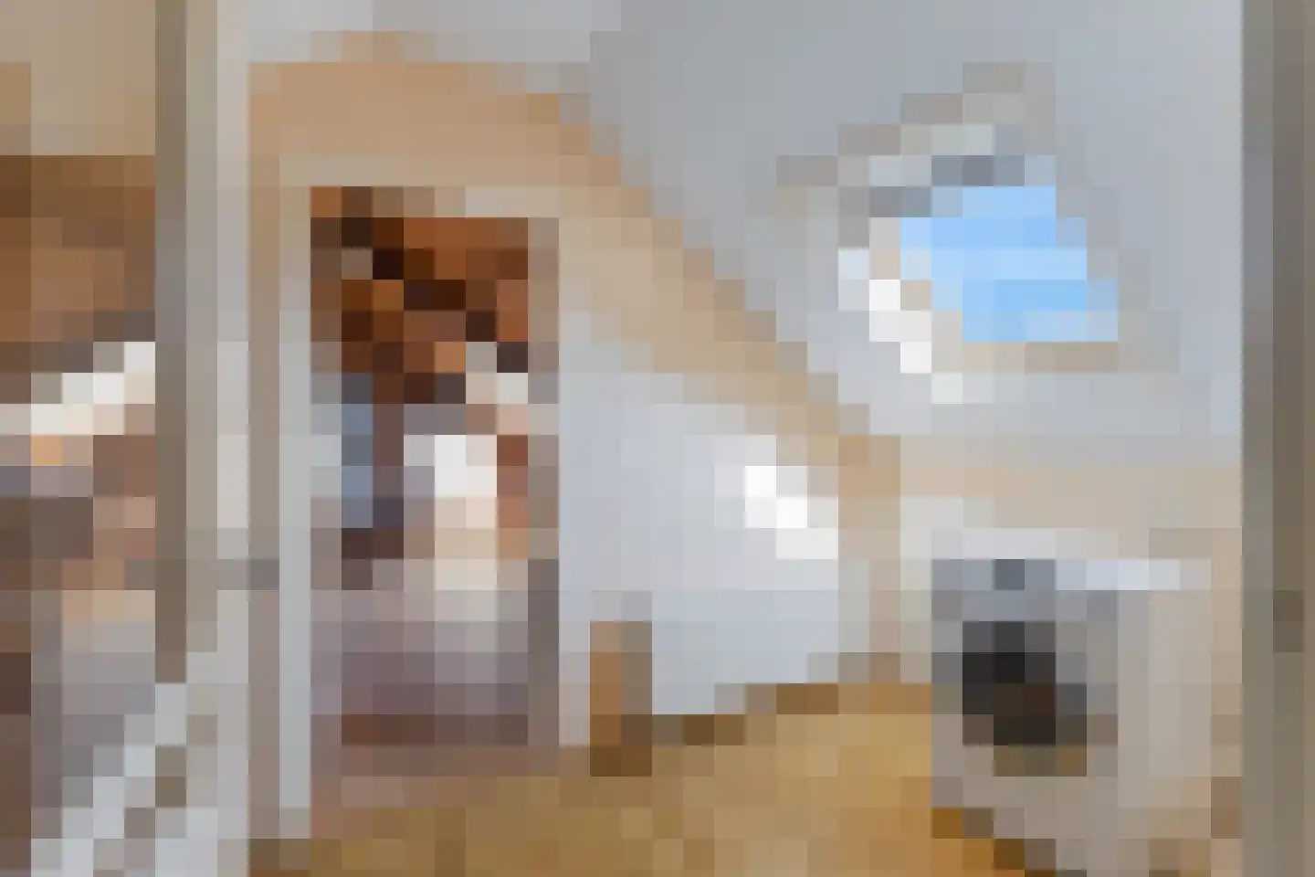 Westeinde 76 Berkenwoude thumbnail 31