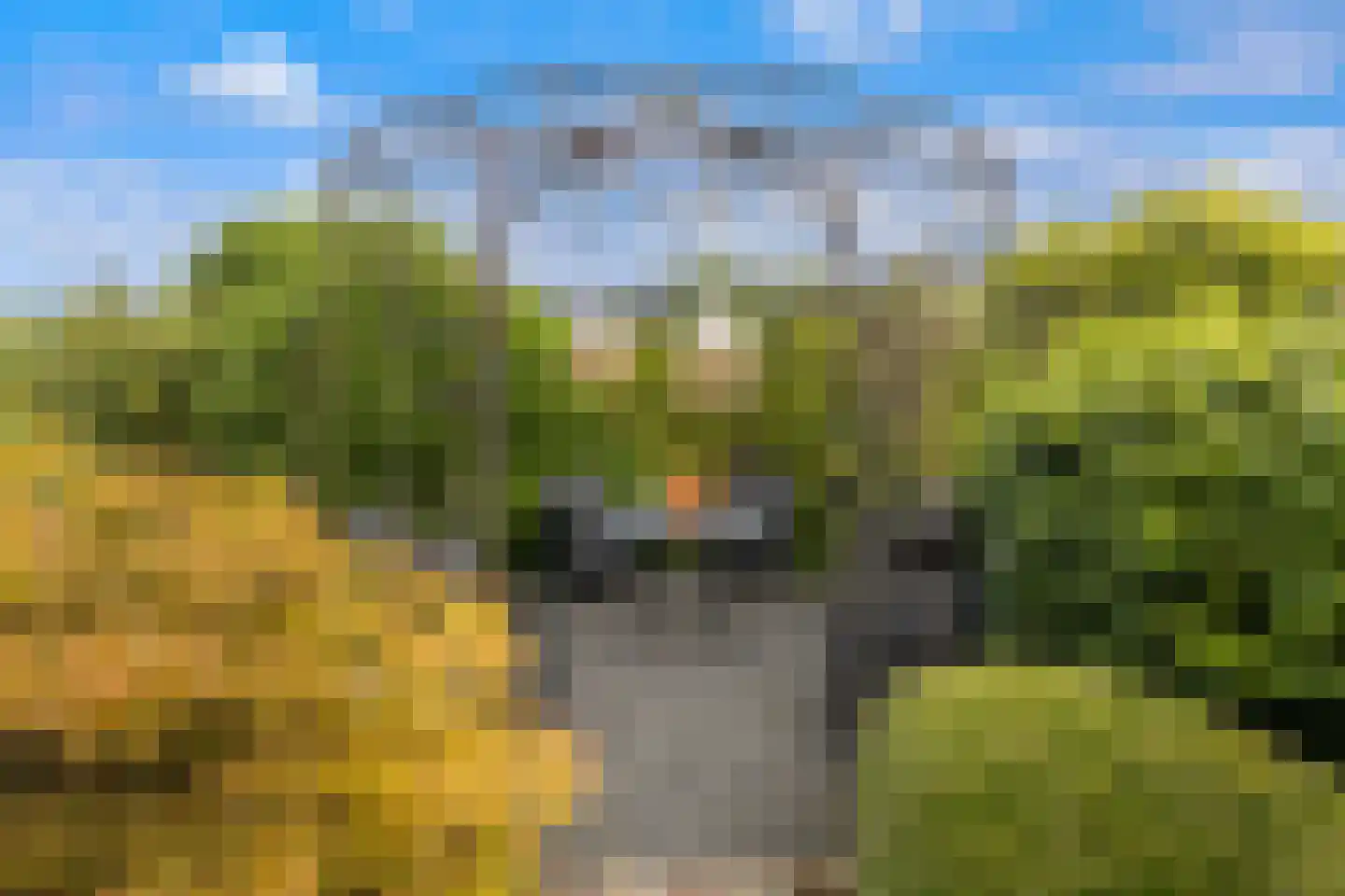 Westeinde 76 Berkenwoude thumbnail 35