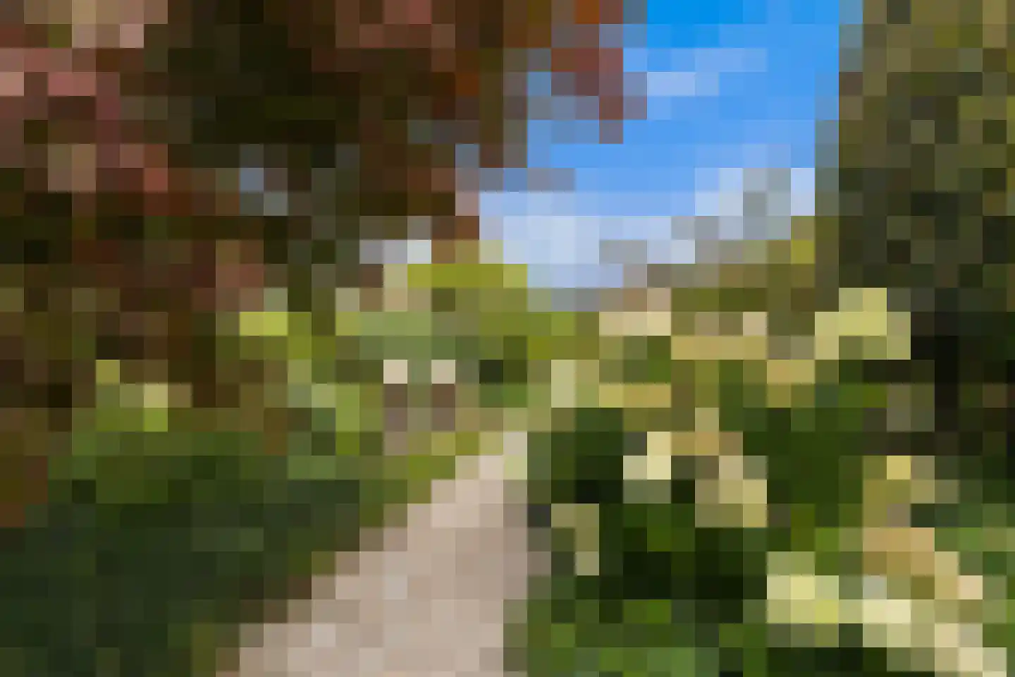 Westeinde 76 Berkenwoude thumbnail 37