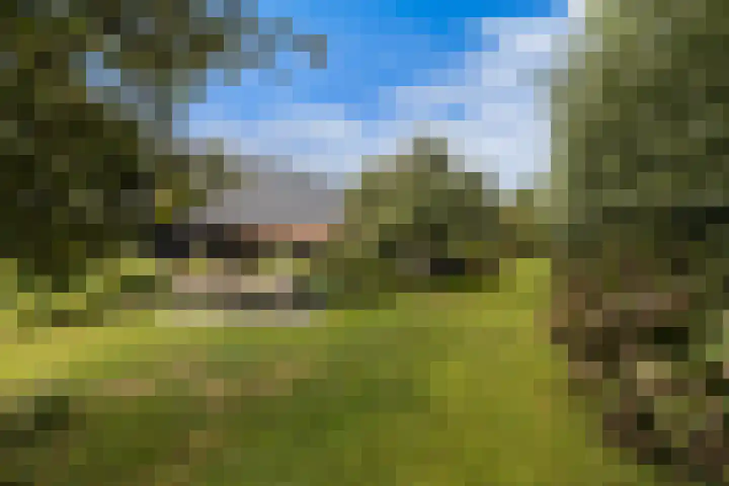Westeinde 76 Berkenwoude thumbnail 38