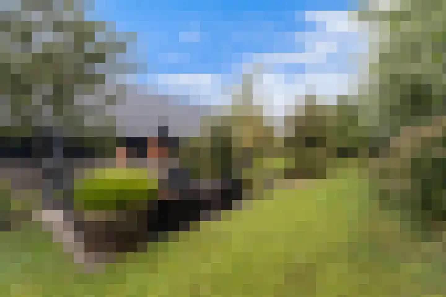 Westeinde 76 Berkenwoude thumbnail 39