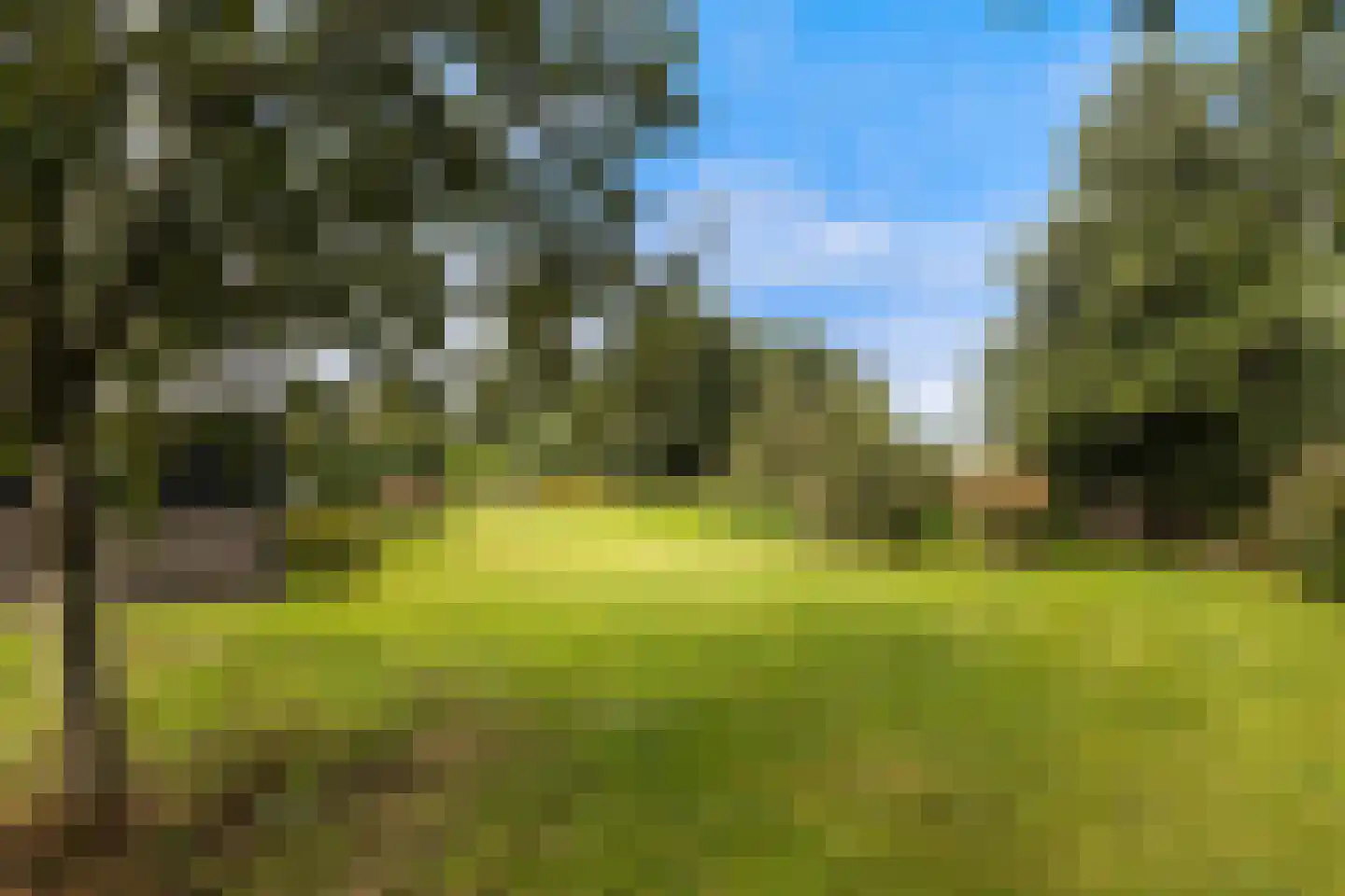 Westeinde 76 Berkenwoude thumbnail 40