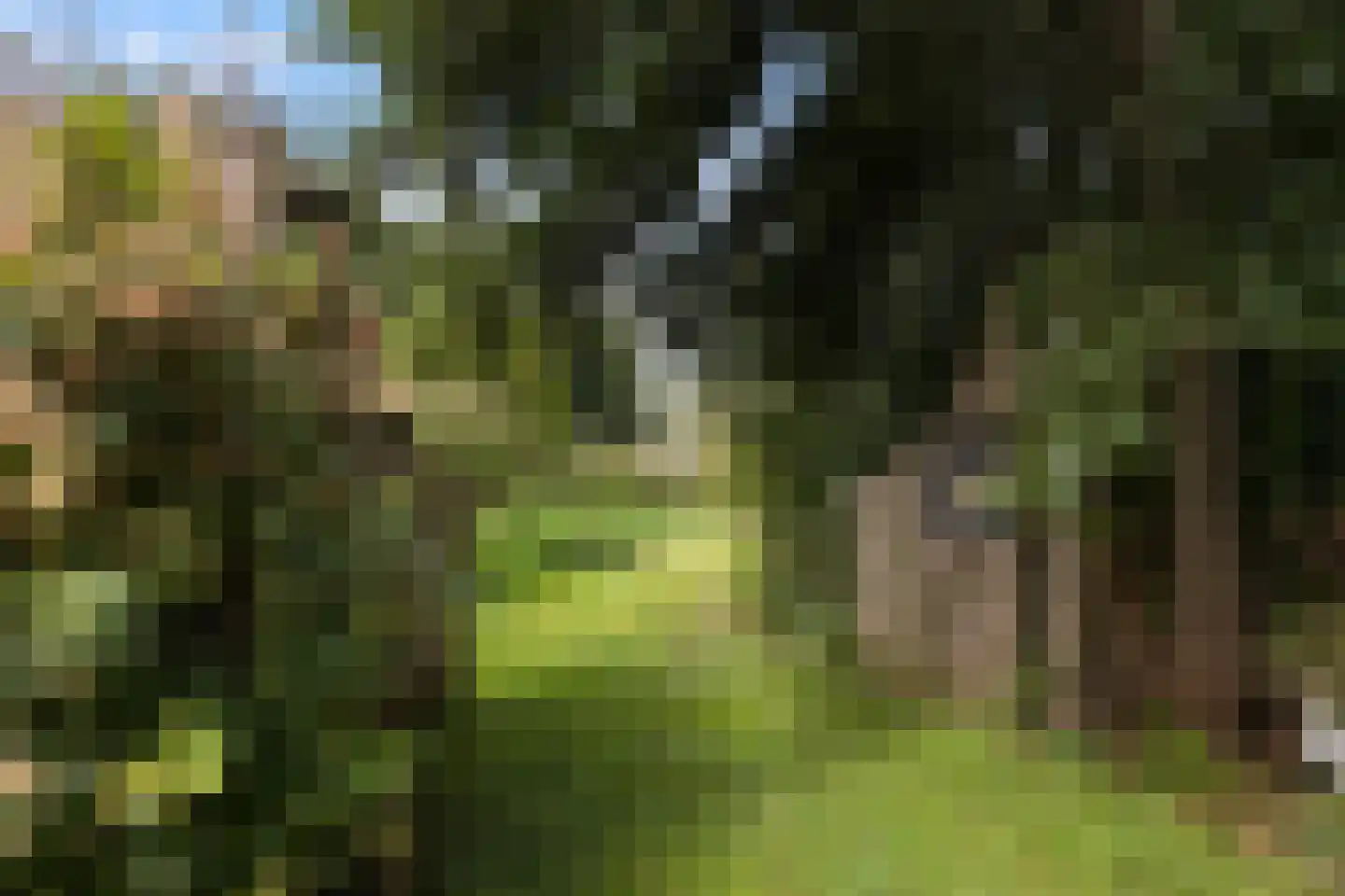 Westeinde 76 Berkenwoude thumbnail 41