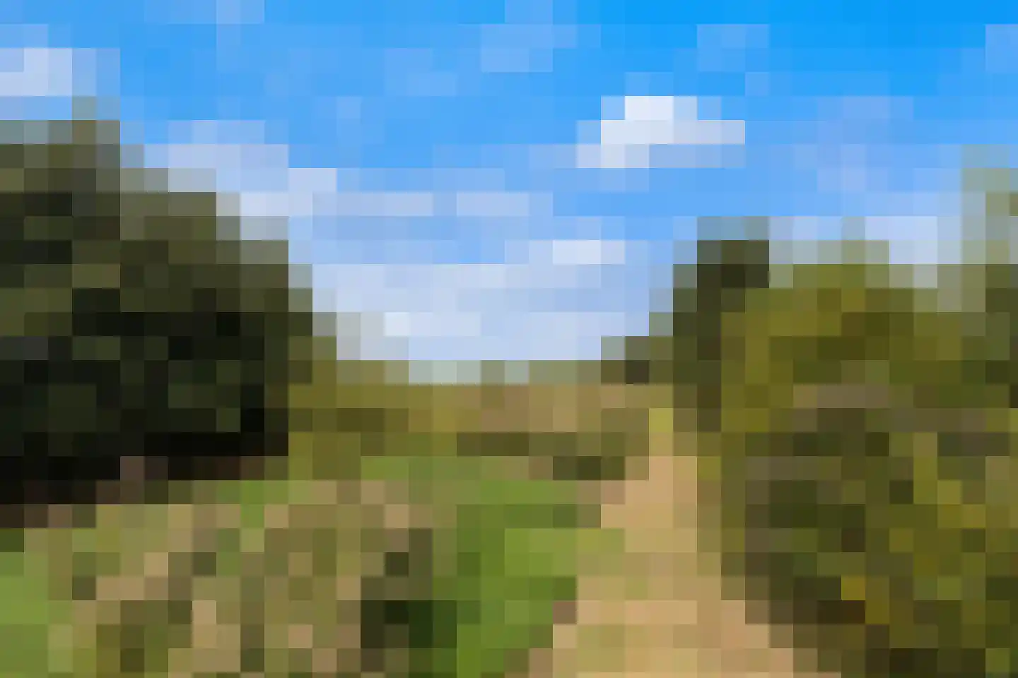 Westeinde 76 Berkenwoude thumbnail 43