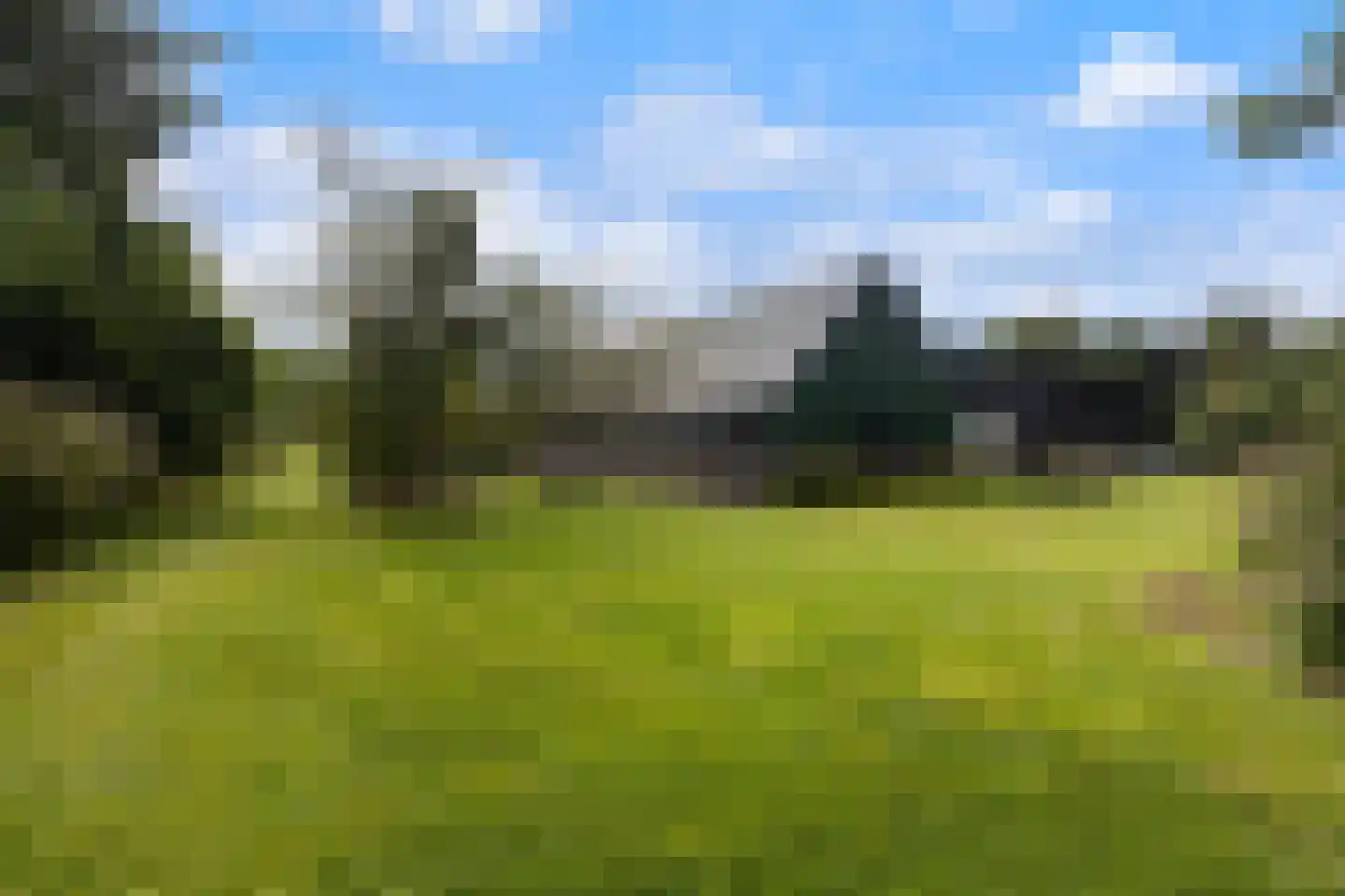 Westeinde 76 Berkenwoude thumbnail 44