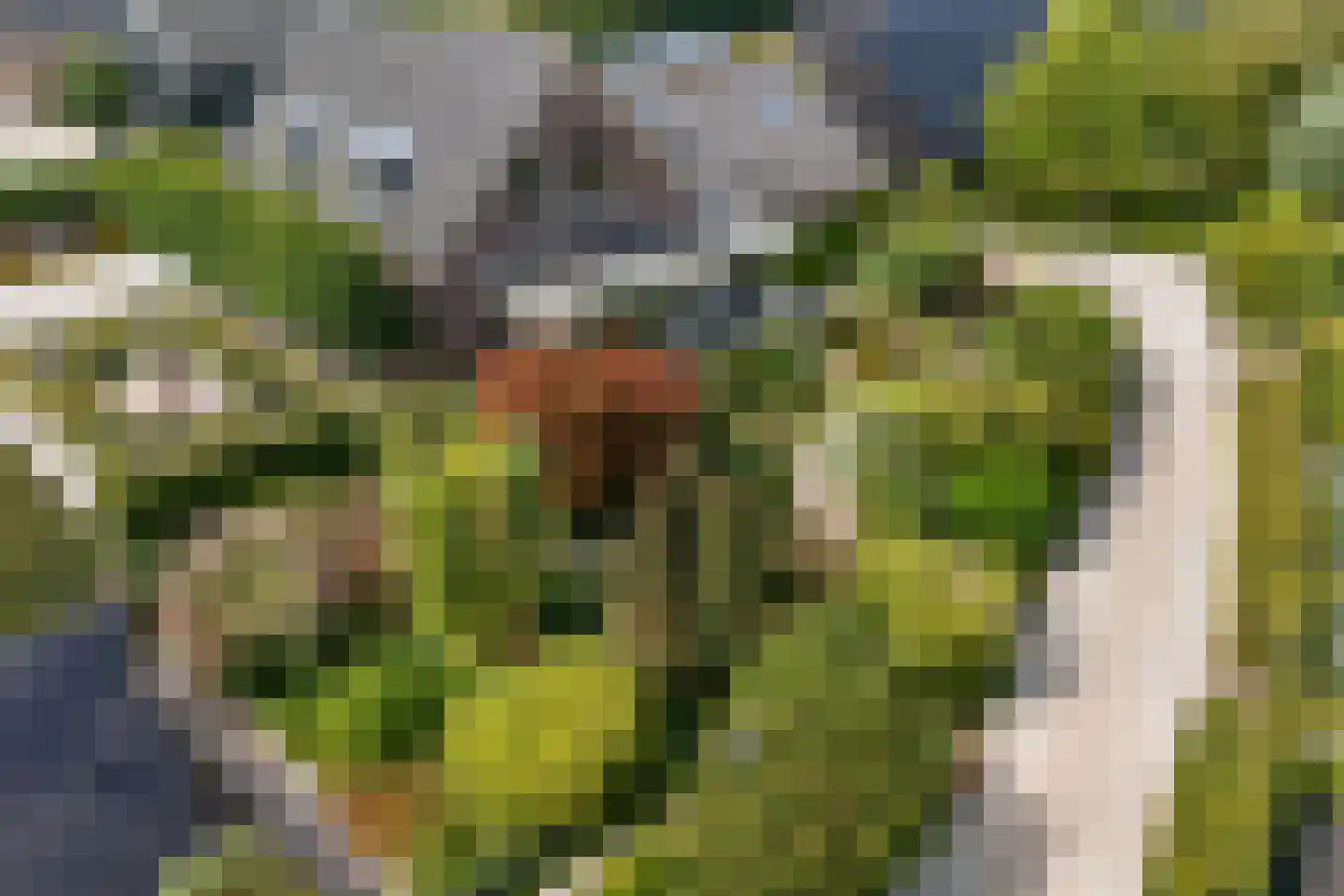 Westeinde 76 Berkenwoude thumbnail 51