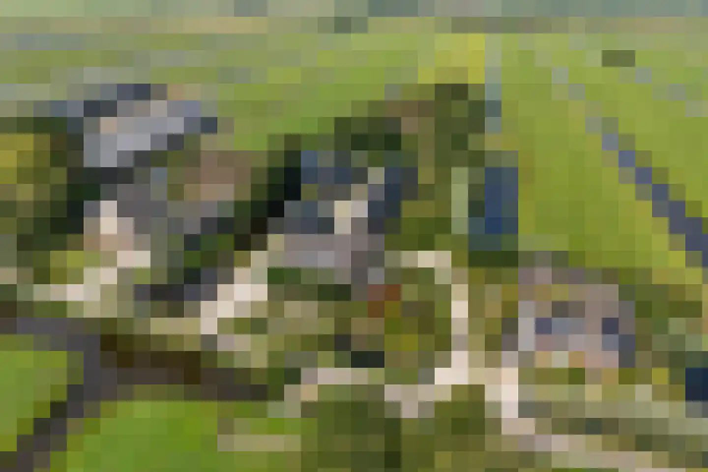 Westeinde 76 Berkenwoude thumbnail 52
