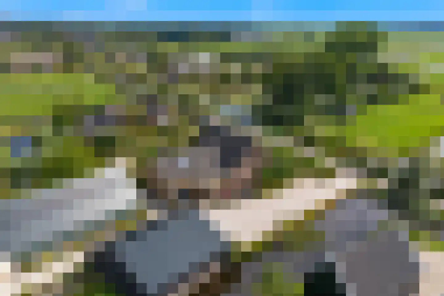Westeinde 76 Berkenwoude thumbnail 54