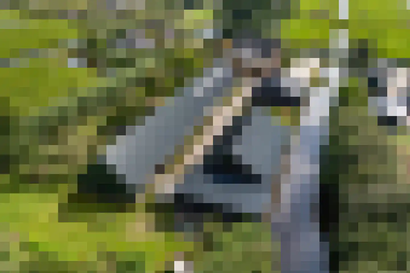 Westeinde 76 Berkenwoude thumbnail 56