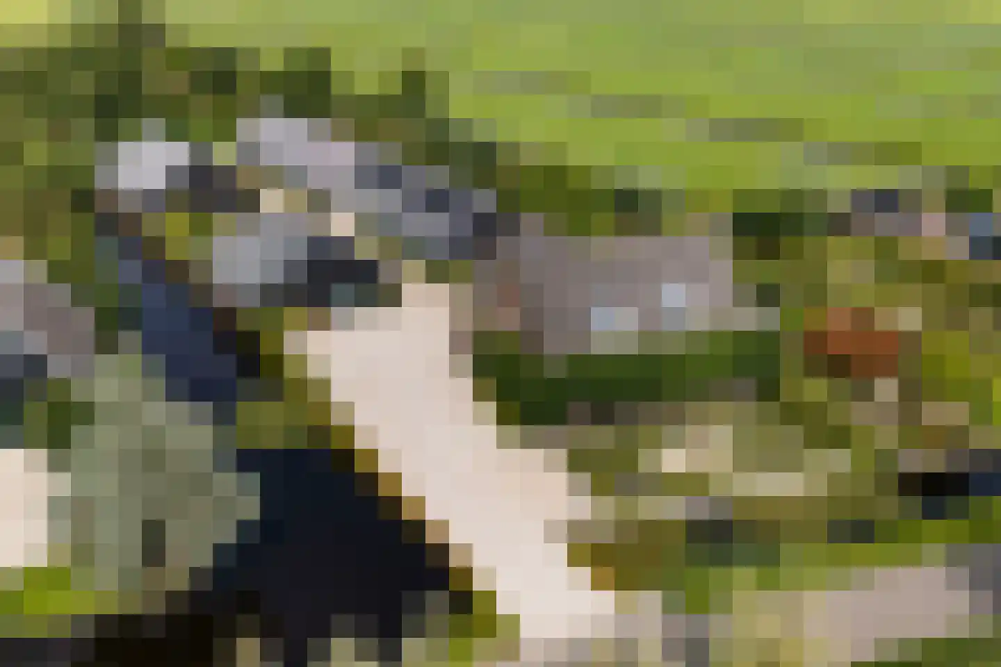 Westeinde 76 Berkenwoude thumbnail 57