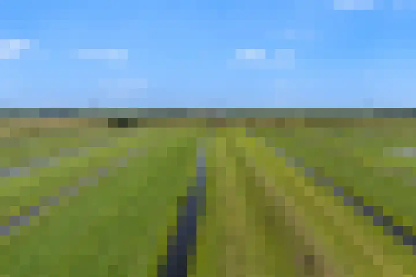 Westeinde 76 Berkenwoude thumbnail 59