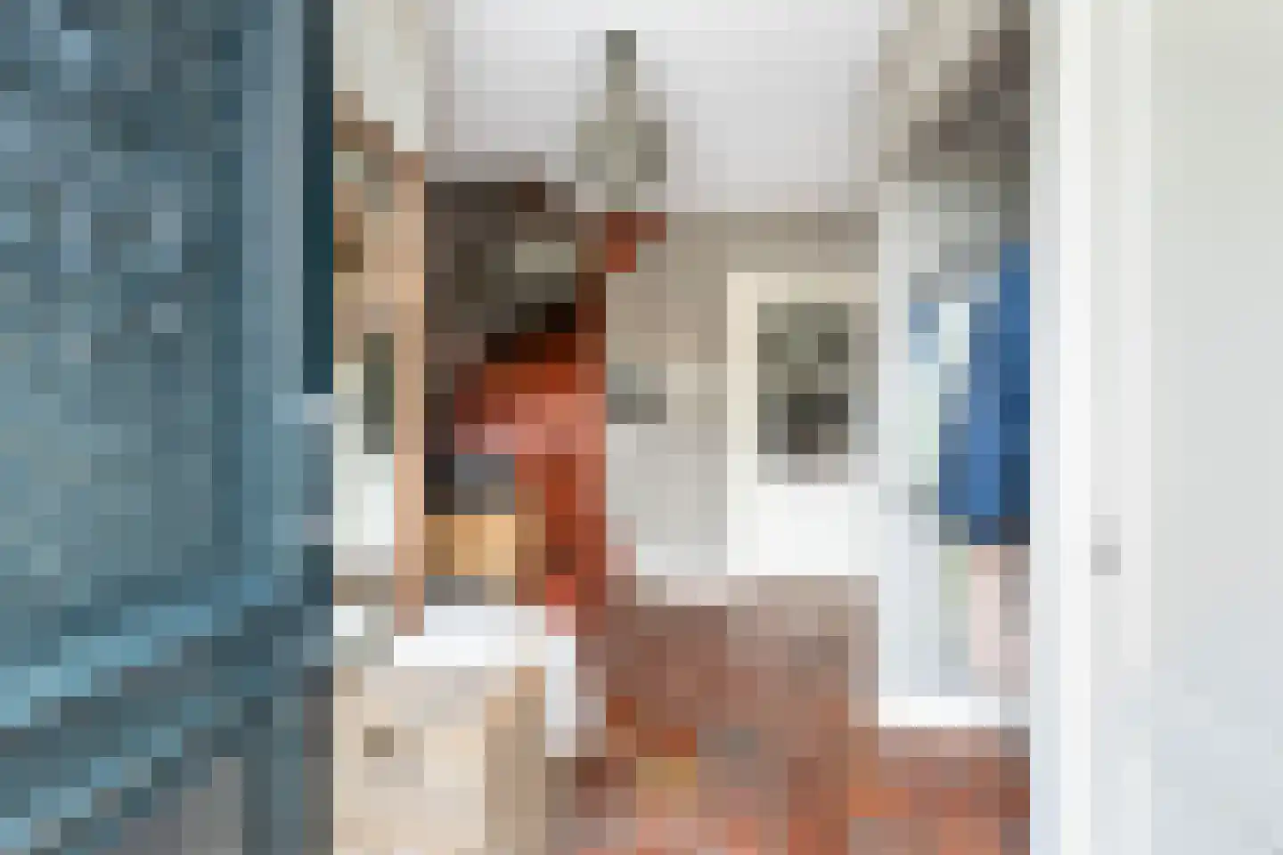 Westeinde 76 Berkenwoude thumbnail 6