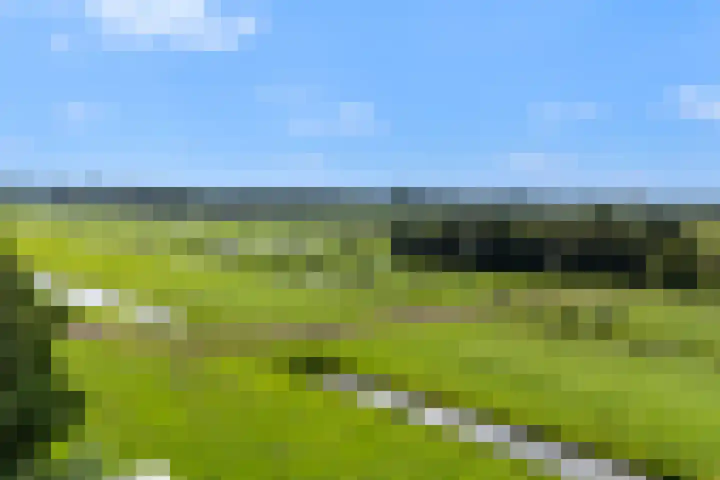 Westeinde 76 Berkenwoude thumbnail 60