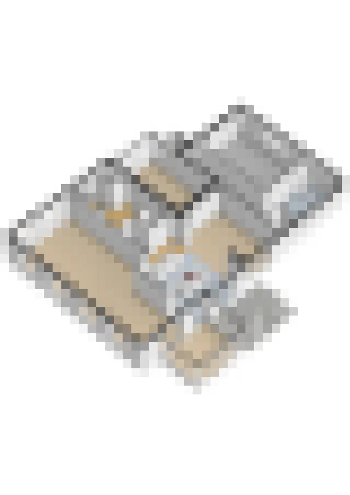 Westeinde 76 Berkenwoude thumbnail 64