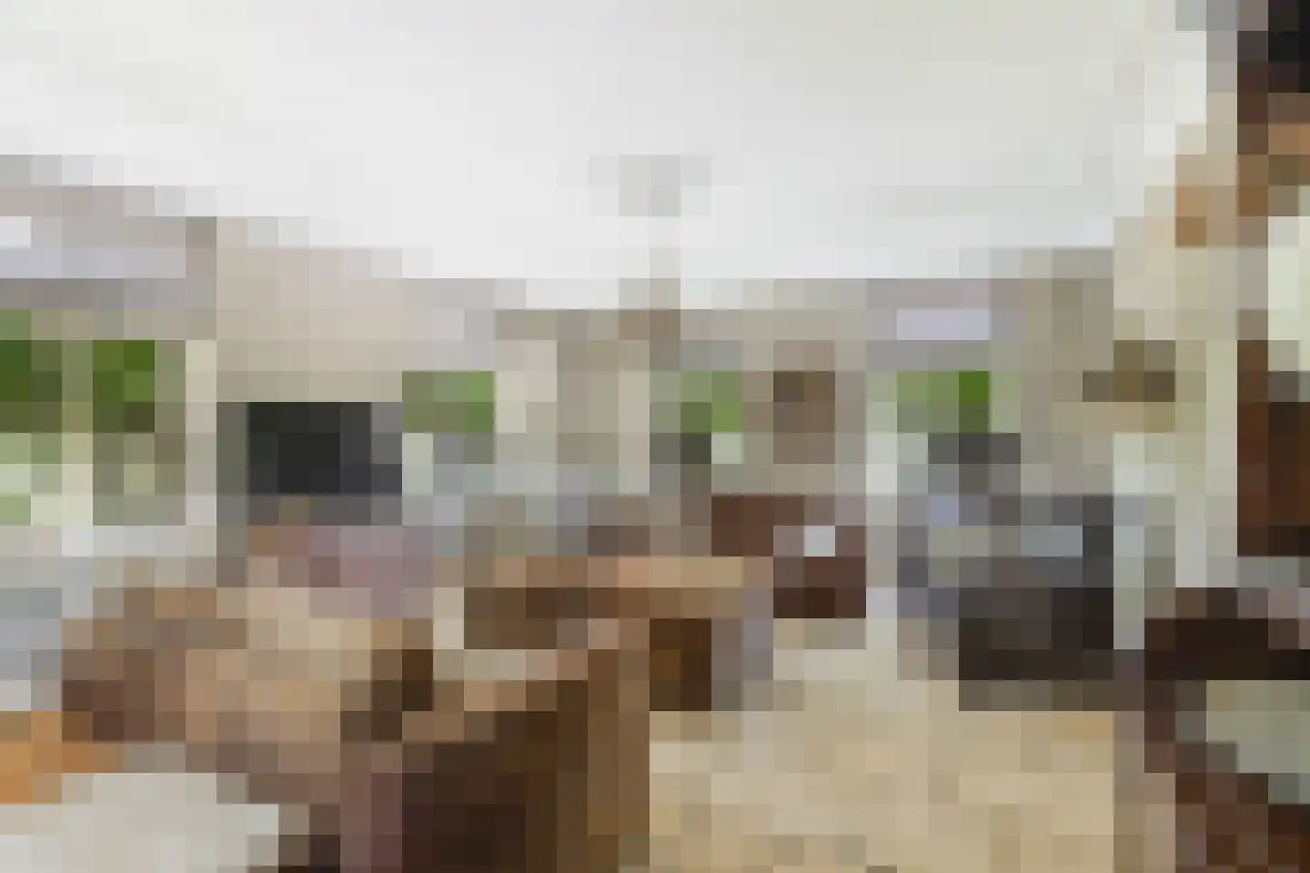 Westeinde 76 Berkenwoude thumbnail 8