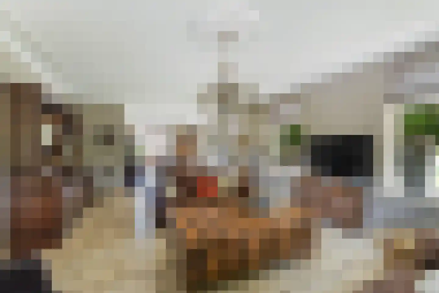 Westeinde 76 Berkenwoude thumbnail 9