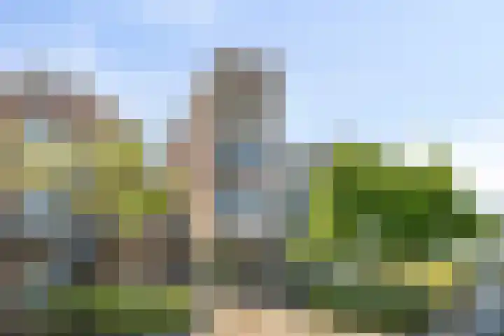 Westeinde 78 A Harderwijk thumbnail 25