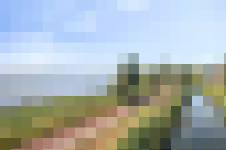 Westeinde 78 A Harderwijk thumbnail 7