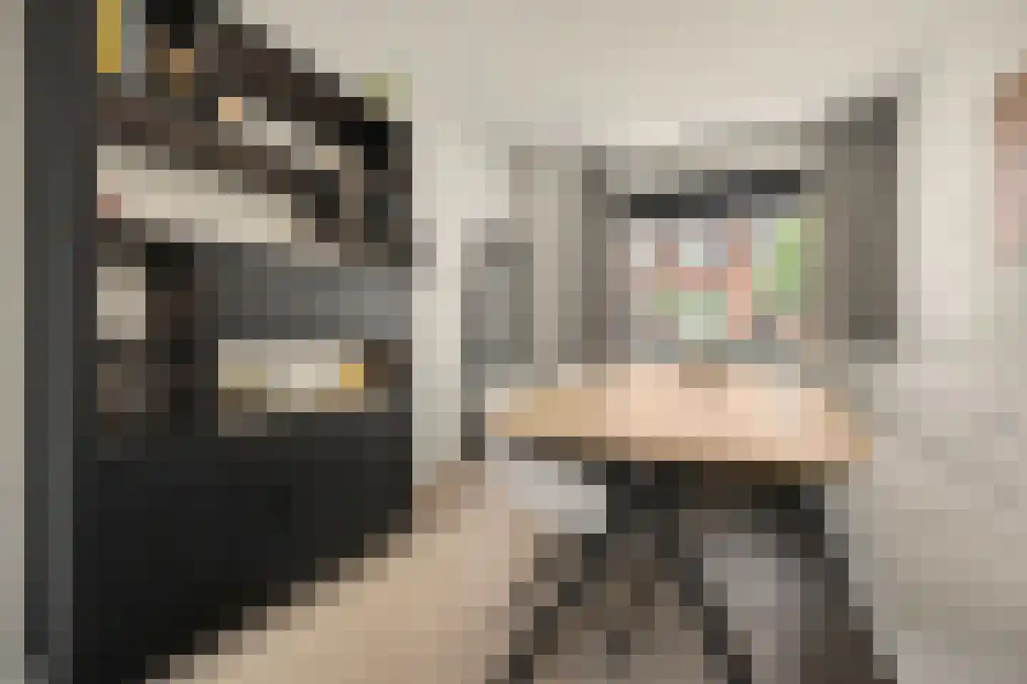Westeinde 8 Waalwijk thumbnail 11