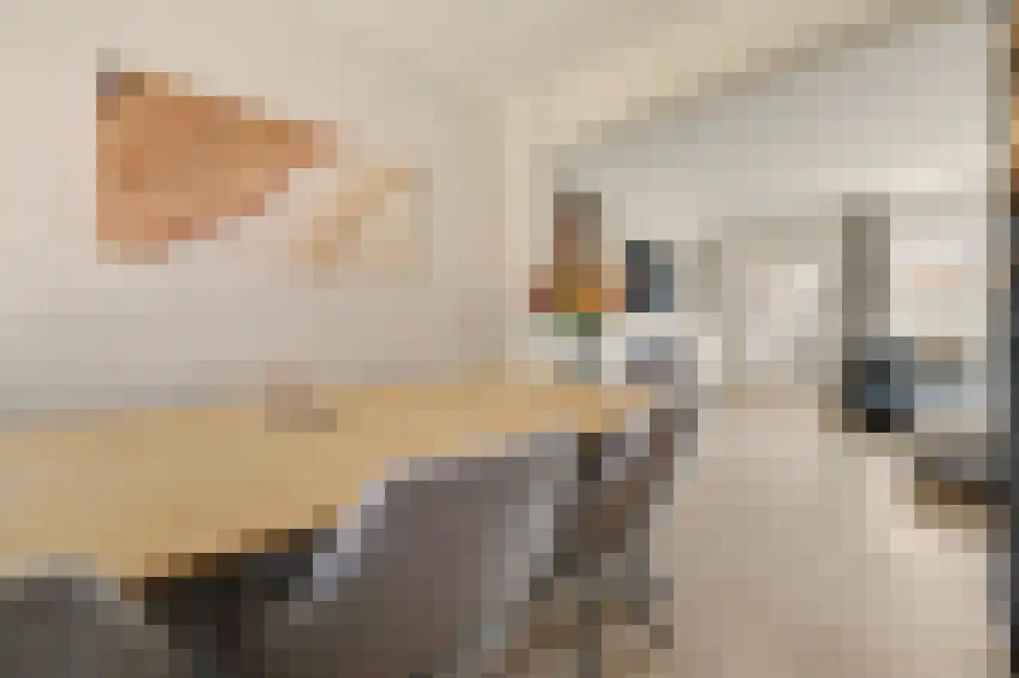 Westeinde 8 Waalwijk thumbnail 13